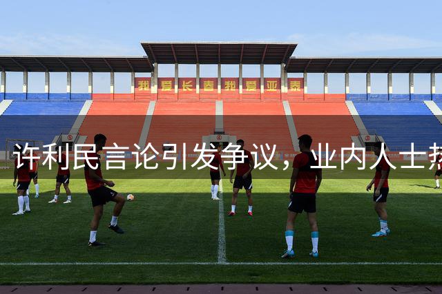 许利民言论引发争议，业内人士热议其观点合理性